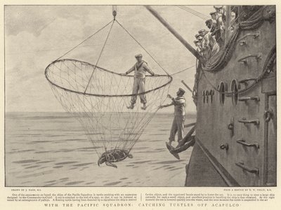 太平洋艦隊で、アカプルコ沖でカメを捕まえる 作： Joseph Nash